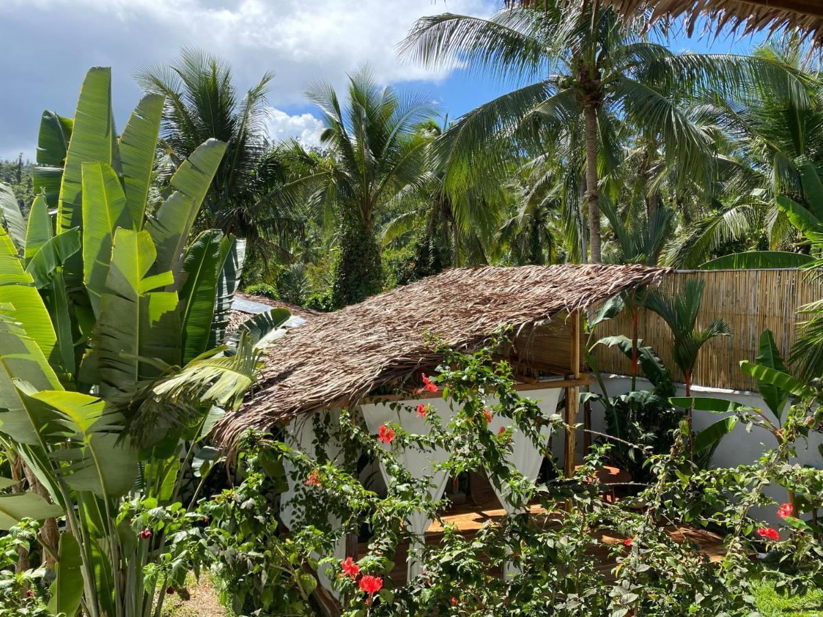 Parrots Boutique Resort سان فيسنتي المظهر الخارجي الصورة