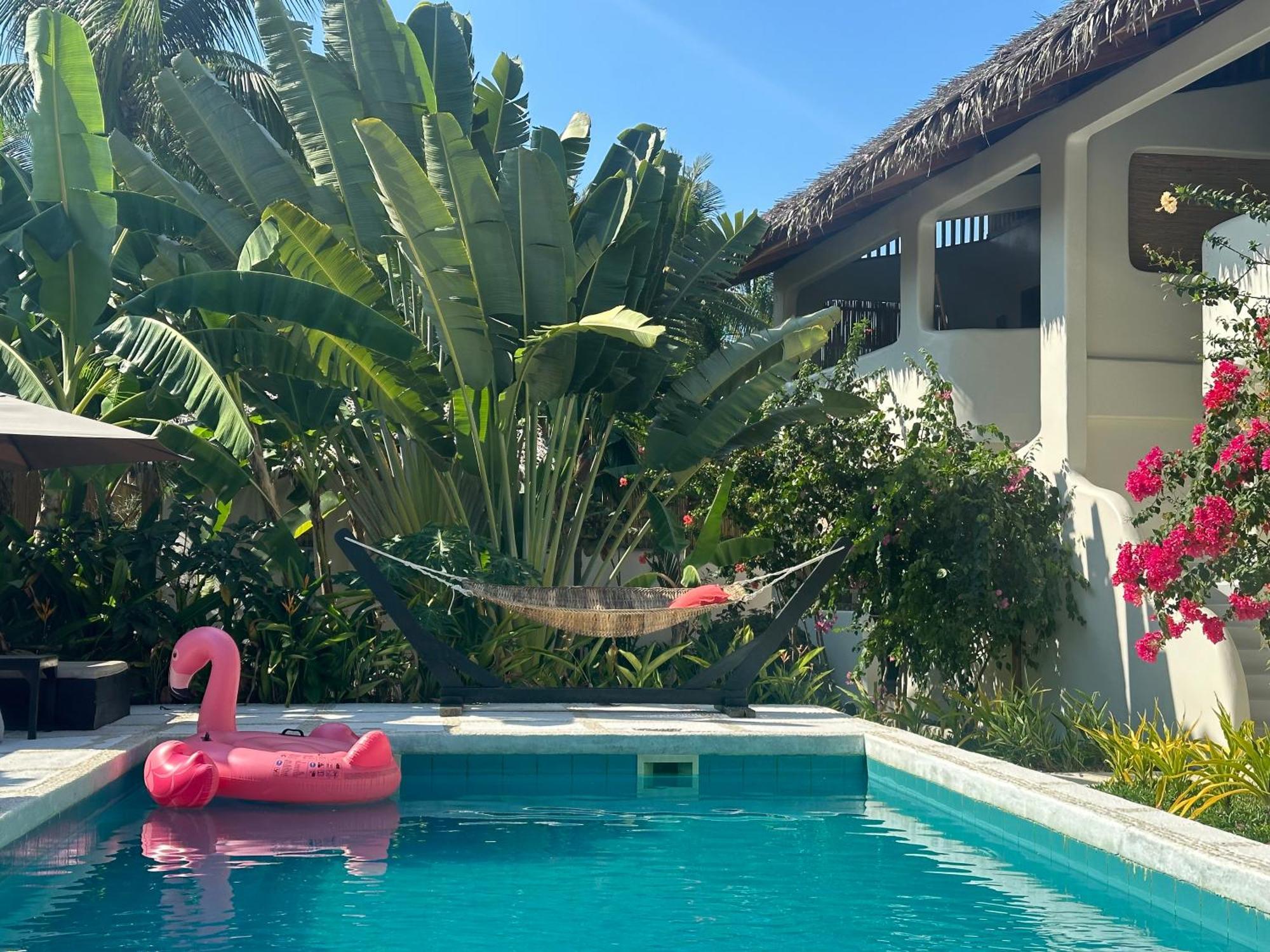 Parrots Boutique Resort سان فيسنتي المظهر الخارجي الصورة